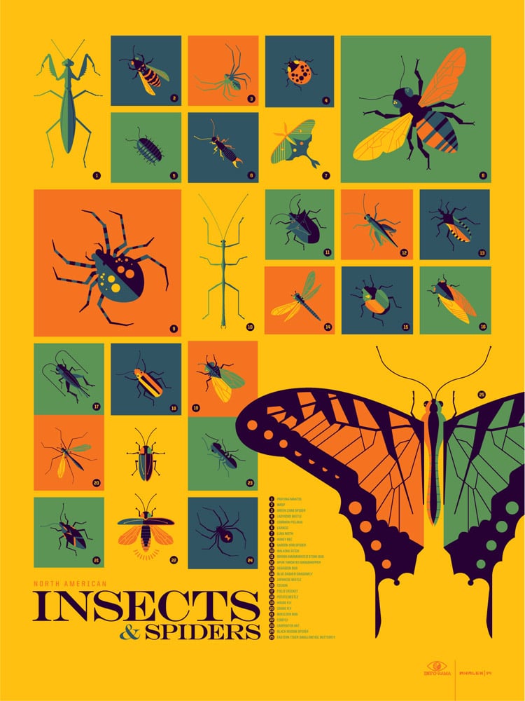 Insects Print