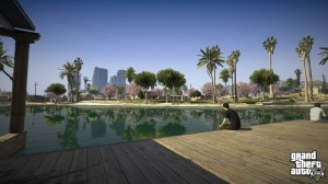 Grand Theft Auto 5 Pool Screenshot